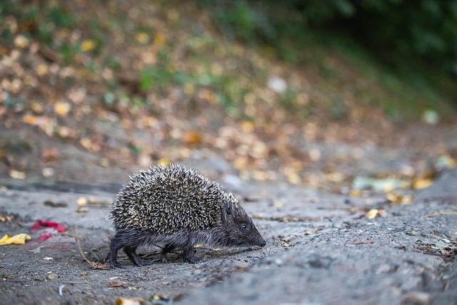 更感受到了 更感受到了