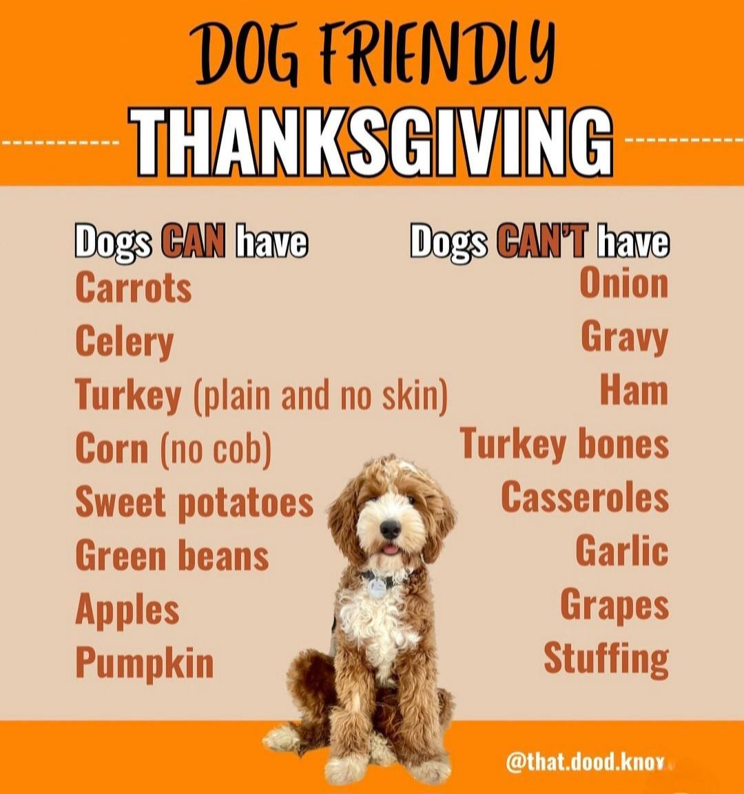 上的奇迹 上的奇迹