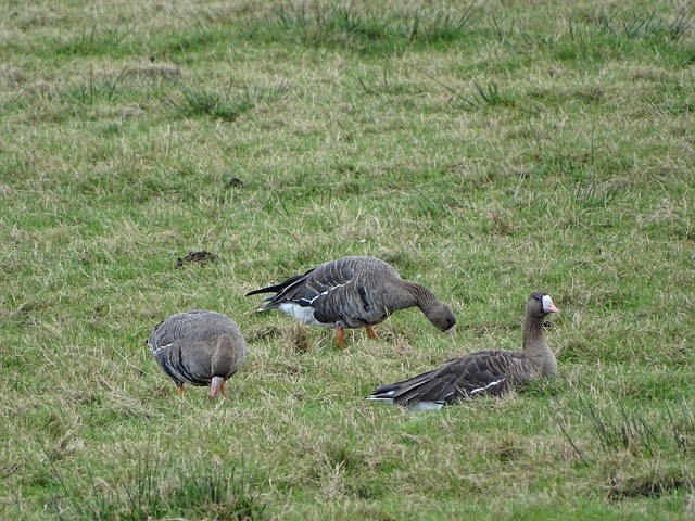 练的头脑风 练的头脑风