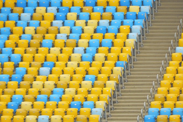 属凤毛麟角 属凤毛麟角