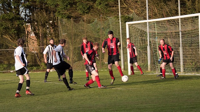 仅是太阳队 仅是太阳队