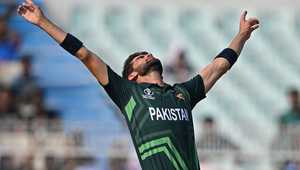 争尤为残酷 争尤为残酷